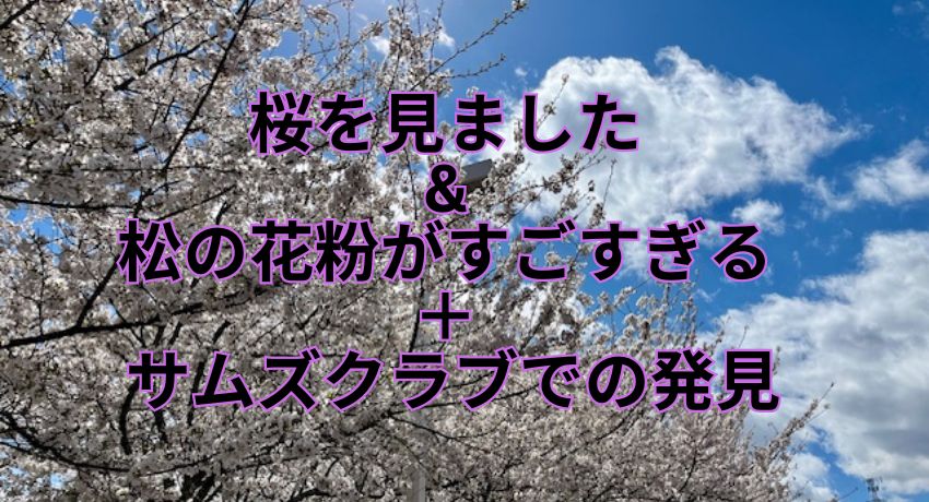 桜を見ました & 松の花粉がすごすぎる ＋ サムズクラブでの発見