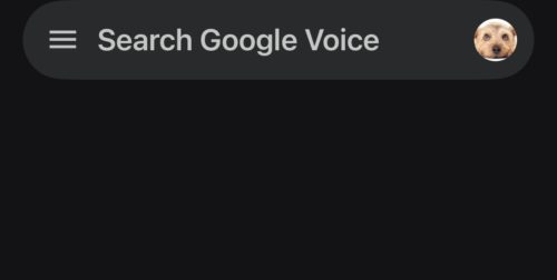 Google Voiceの画面